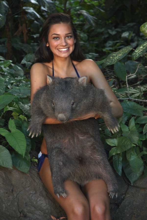 animals-michelle-v-wombat.jpg